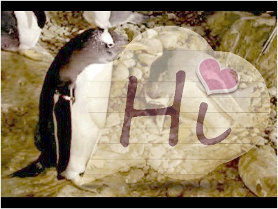 ����� ���������� ���������� ����������